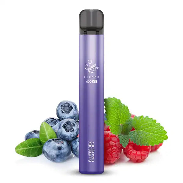 elfbar-600-v2-blueberry-raspberry-1